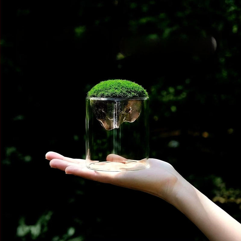 Γυάλινο βάζο με μίνι τοπίο από βρύα για γραφείο, γυαλί υψηλής αντοχής, μάρκα Independent, δώρο επιχειρήσεων