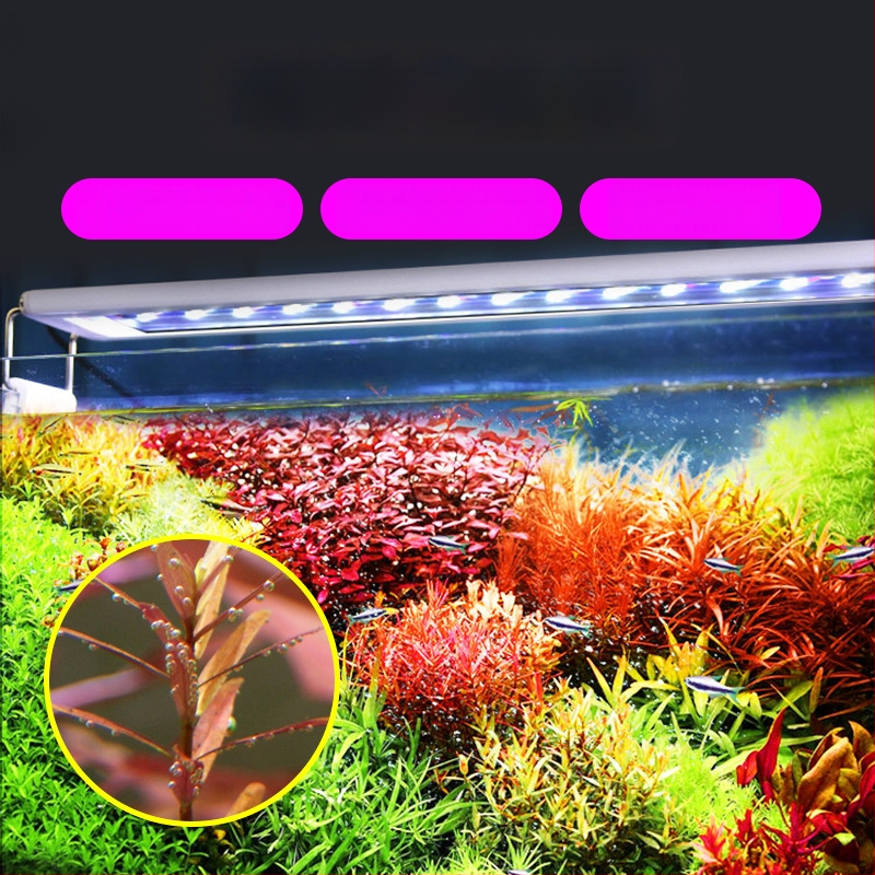 LED Φωτιστικό ενυδρείου Iris – 5730 LED κόκκοι, 6–26,5W, 0,27–0,74 kg, για ανάπτυξη και φωτισμό υδρόβιων φυτών