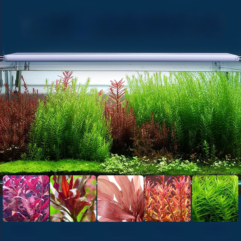 LED Φωτιστικό ενυδρείου Iris – 5730 LED κόκκοι, 6–26,5W, 0,27–0,74 kg, για ανάπτυξη και φωτισμό υδρόβιων φυτών