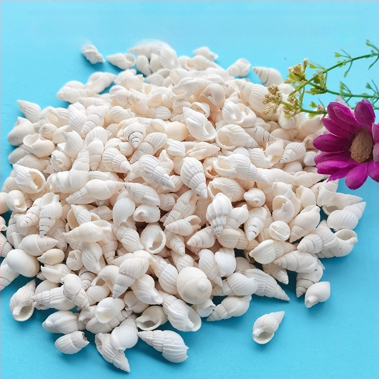 Διάκοσμητικά ενυδρείου από κοχύλια – φυσικά θαλάσσια κοχύλια, ναυτικό στυλ, πλήρως φυσική κατασκευή (Υλικό: Κοχύλι; Στυλ: Ναυτικό; Διαδικασία: Βιονική; Εφαρμογές: αξεσουάρ φωτογραφικών στούντιο, απεικονίσεις ενυδρείου)