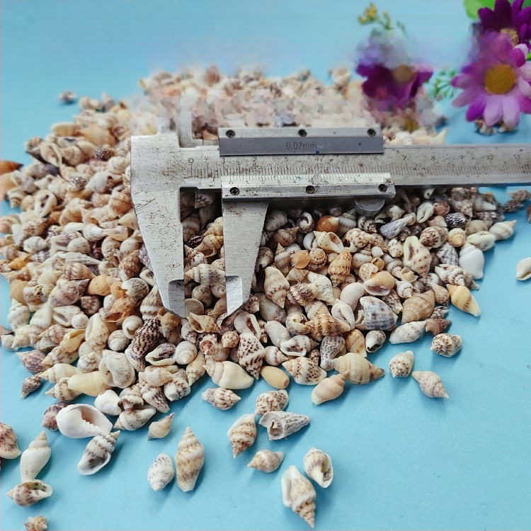 Διάκοσμητικά ενυδρείου από κοχύλια – φυσικά θαλάσσια κοχύλια, ναυτικό στυλ, πλήρως φυσική κατασκευή (Υλικό: Κοχύλι; Στυλ: Ναυτικό; Διαδικασία: Βιονική; Εφαρμογές: αξεσουάρ φωτογραφικών στούντιο, απεικονίσεις ενυδρείου)