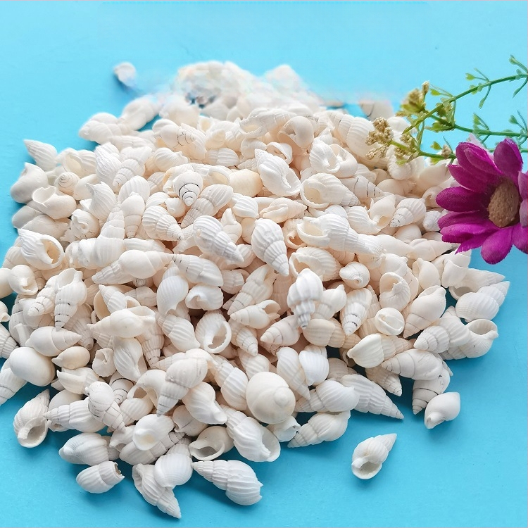 Διάκοσμητικά ενυδρείου από κοχύλια – φυσικά θαλάσσια κοχύλια, ναυτικό στυλ, πλήρως φυσική κατασκευή (Υλικό: Κοχύλι; Στυλ: Ναυτικό; Διαδικασία: Βιονική; Εφαρμογές: αξεσουάρ φωτογραφικών στούντιο, απεικονίσεις ενυδρείου)