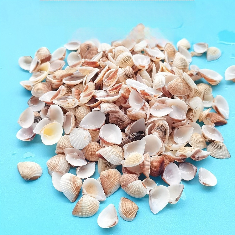 Διάκοσμητικά ενυδρείου από κοχύλια – φυσικά θαλάσσια κοχύλια, ναυτικό στυλ, πλήρως φυσική κατασκευή (Υλικό: Κοχύλι; Στυλ: Ναυτικό; Διαδικασία: Βιονική; Εφαρμογές: αξεσουάρ φωτογραφικών στούντιο, απεικονίσεις ενυδρείου)