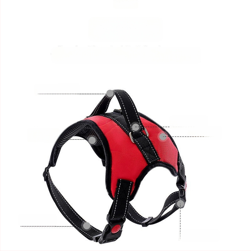 Nylon kutyahám és nyolcszálú póráz