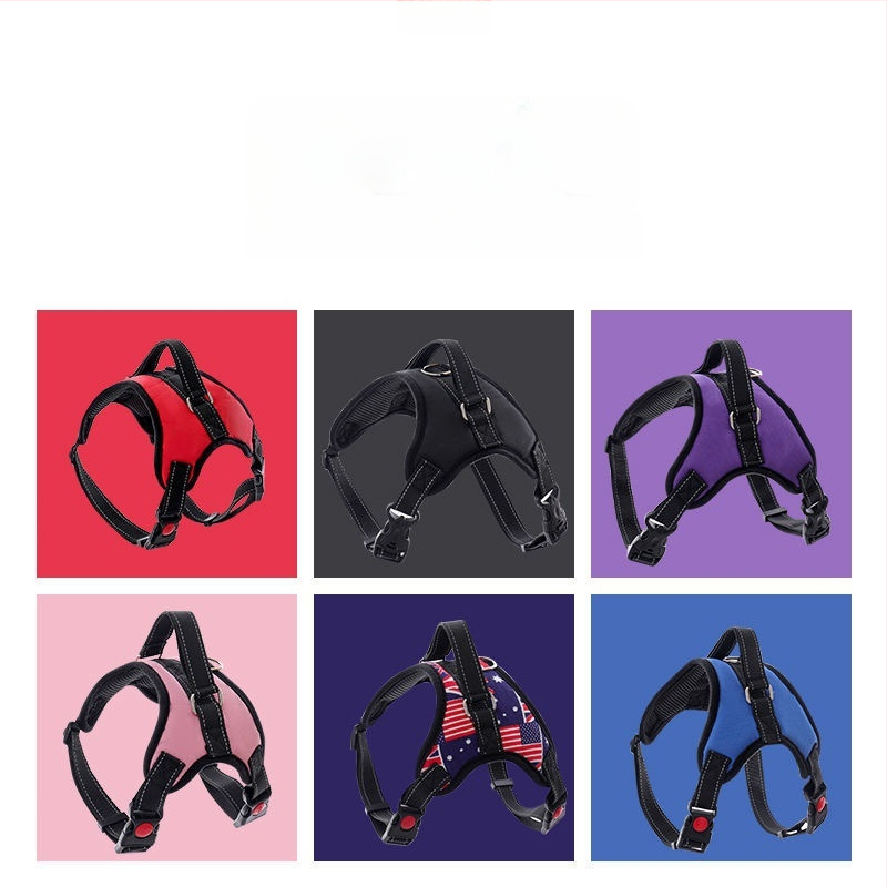 Nylon kutyahám és nyolcszálú póráz