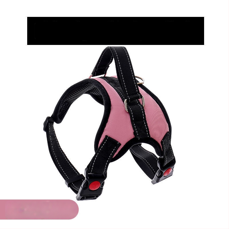 Nylon kutyahám és nyolcszálú póráz