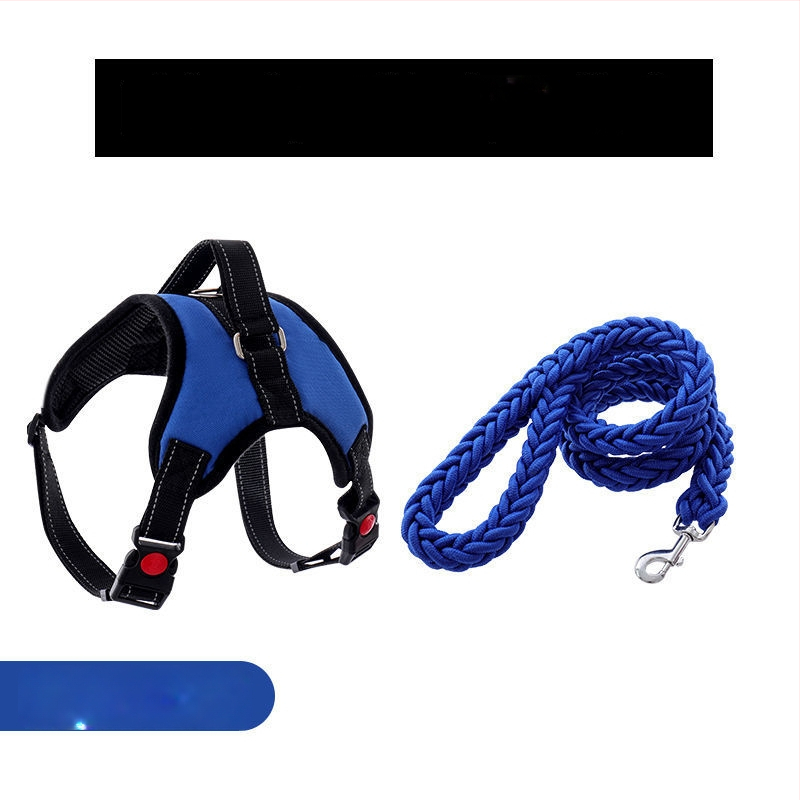 Nylon kutyahám és nyolcszálú póráz