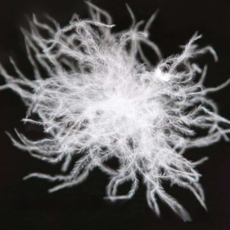 Γυναικείο κοντό γιλέκο με πούπουλα, λεπτό και εφαρμοστό, χωρίς μανίκια χωρίς γιακά; γέμισμα: πούπουλο από λευκή πάπια; εξωτερικό ύφασμα: 100% πολυεστέρας; επένδυση: πολυεστέρας; μήκος: 40–50 cm