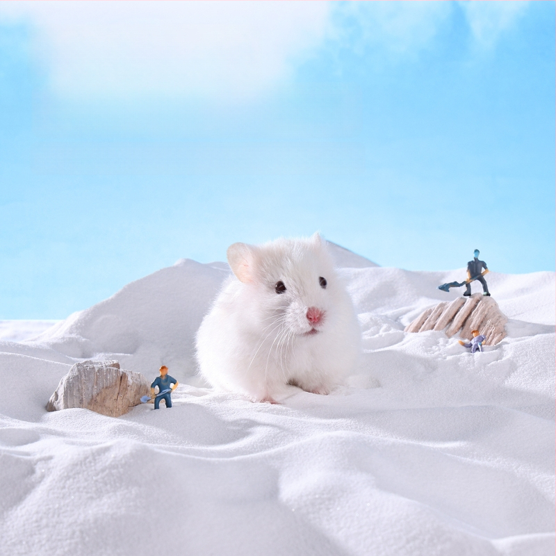 Yue Xiaomeng Дву-в-едно пясък за къпане за малки домашни любимци с премахване на миризми