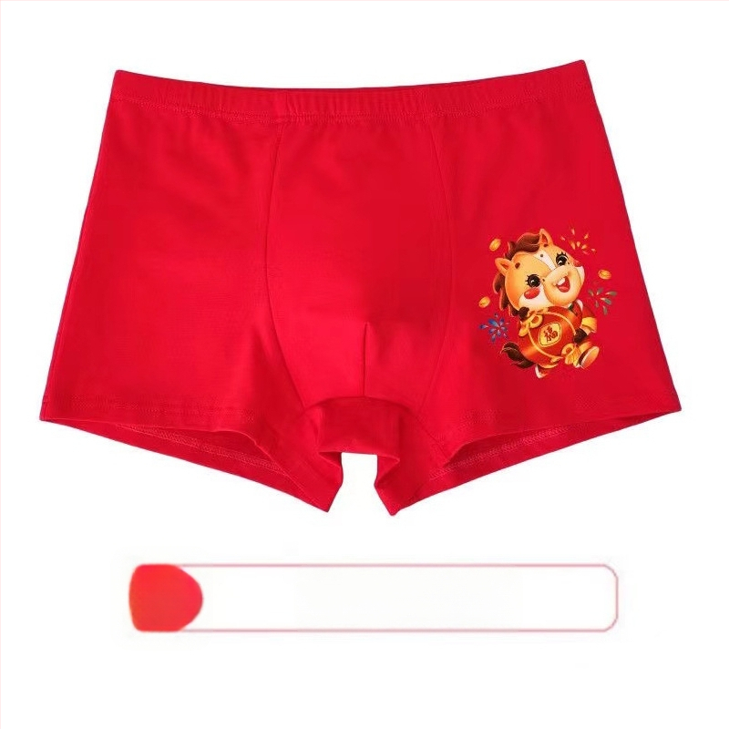 Chiloți pentru băieți, talie medie, 95% bumbac, Clasă de siguranță A, pentru copii mai mari