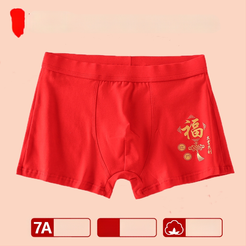 Chiloți pentru băieți, talie medie, 95% bumbac, Clasă de siguranță A, pentru copii mai mari