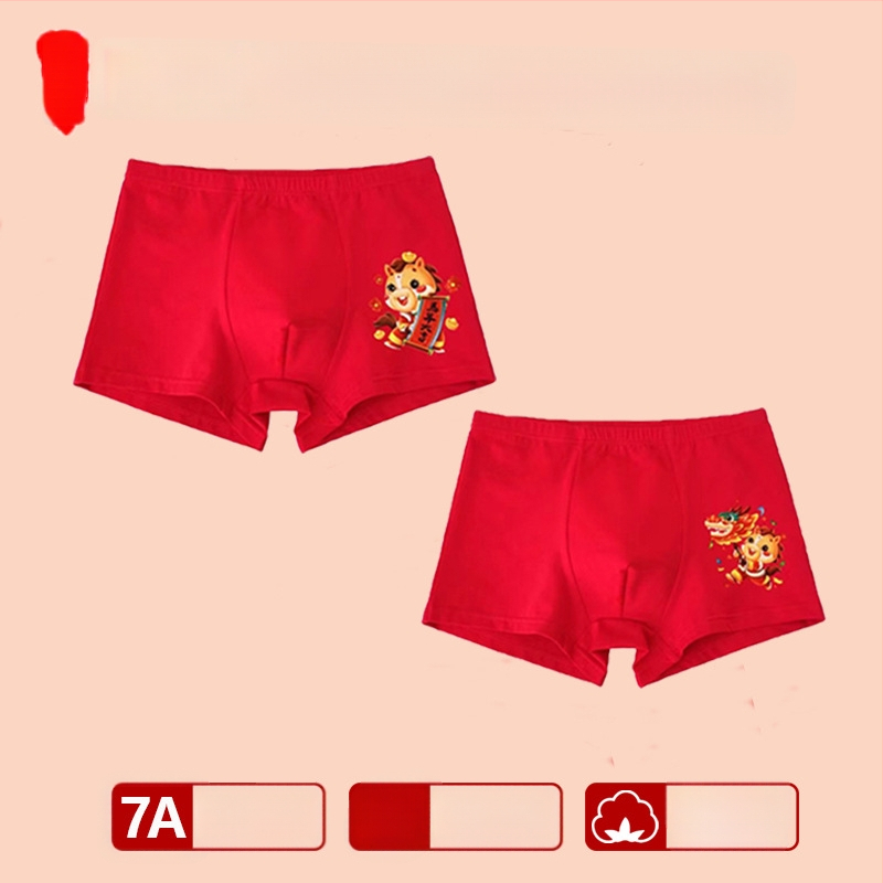 Chiloți pentru băieți, talie medie, 95% bumbac, Clasă de siguranță A, pentru copii mai mari