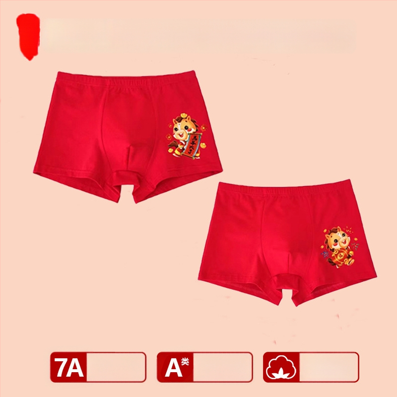 Chiloți pentru băieți, talie medie, 95% bumbac, Clasă de siguranță A, pentru copii mai mari