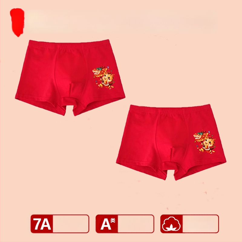 Chiloți pentru băieți, talie medie, 95% bumbac, Clasă de siguranță A, pentru copii mai mari