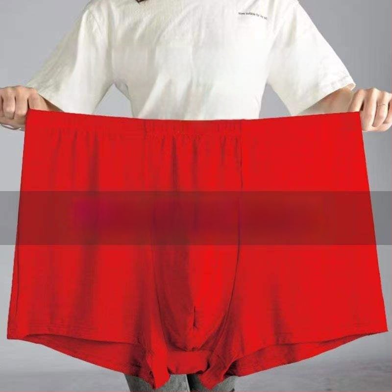 Ανδρικά εσώρουχα: μακριά παντελόνια με ίσια γραμμή, ύφασμα αρνί φλίς, μεσαία ελαστικότητα, Άνοιξη 2024