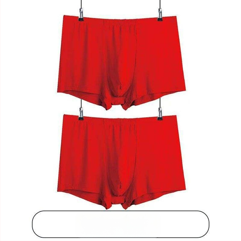 Ανδρικά εσώρουχα: μακριά παντελόνια με ίσια γραμμή, ύφασμα αρνί φλίς, μεσαία ελαστικότητα, Άνοιξη 2024