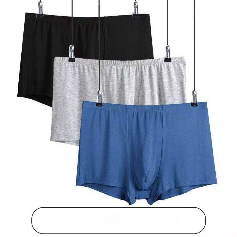 Ανδρικά εσώρουχα: μακριά παντελόνια με ίσια γραμμή, ύφασμα αρνί φλίς, μεσαία ελαστικότητα, Άνοιξη 2024