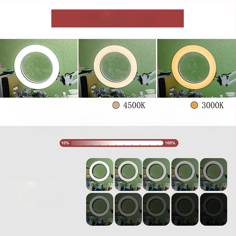 Λαμπά LED γραφείου με μακρύ βραχίονα και πτυσσόμενο μεγεθυντικό φακό – φως ανάγνωσης φιλικό στα μάτια, USB τροφοδοσία 12W, μεταλλική σκιά, CE πιστοποιητικό