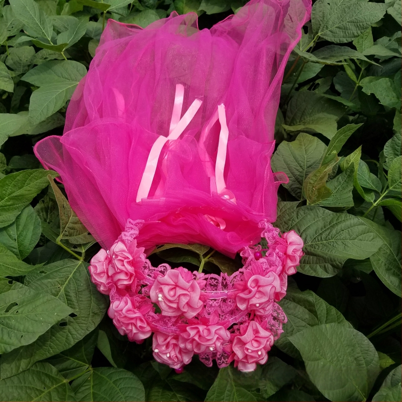 Κορώνα με βέλο για παιδιά, πλέγμα, καρτούν στυλ, unisex, διπλό στρώμα, προσαρμογή κατά παραγγελία