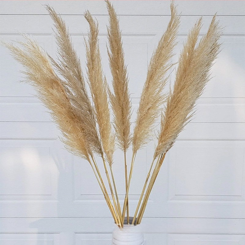 Сушени цветя – реквизит за фотография в INS стил, марка Brightness, разновидност 3332590, материал: сушени цветя, процес: Друг, използване: сватба/на открито/реквизит за снимки