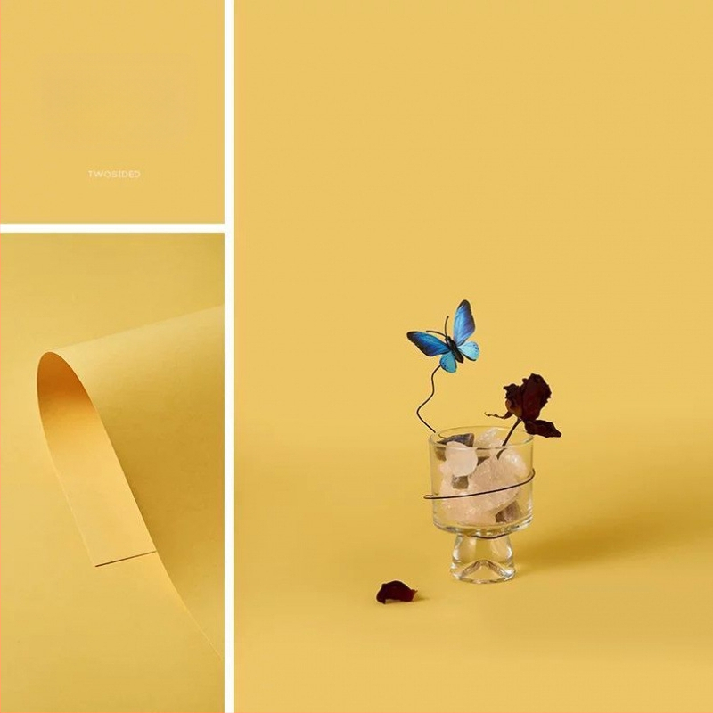 Szakmai fotóháttérpapír Still Life fotózáshoz karton hátlappal (készleten)