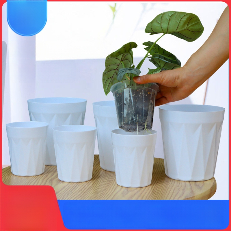 Set de ghivece plastice hidroponice — auto-udare, controlul rădăcinilor, design simplu pentru uz casnic, set Qingshan