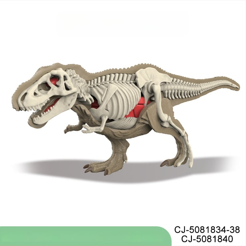 Vzdelávacia hra dinosaurových fosílií – archeologická stavebnica pre deti, DIY zostavenie kostry a anatómia zvierat