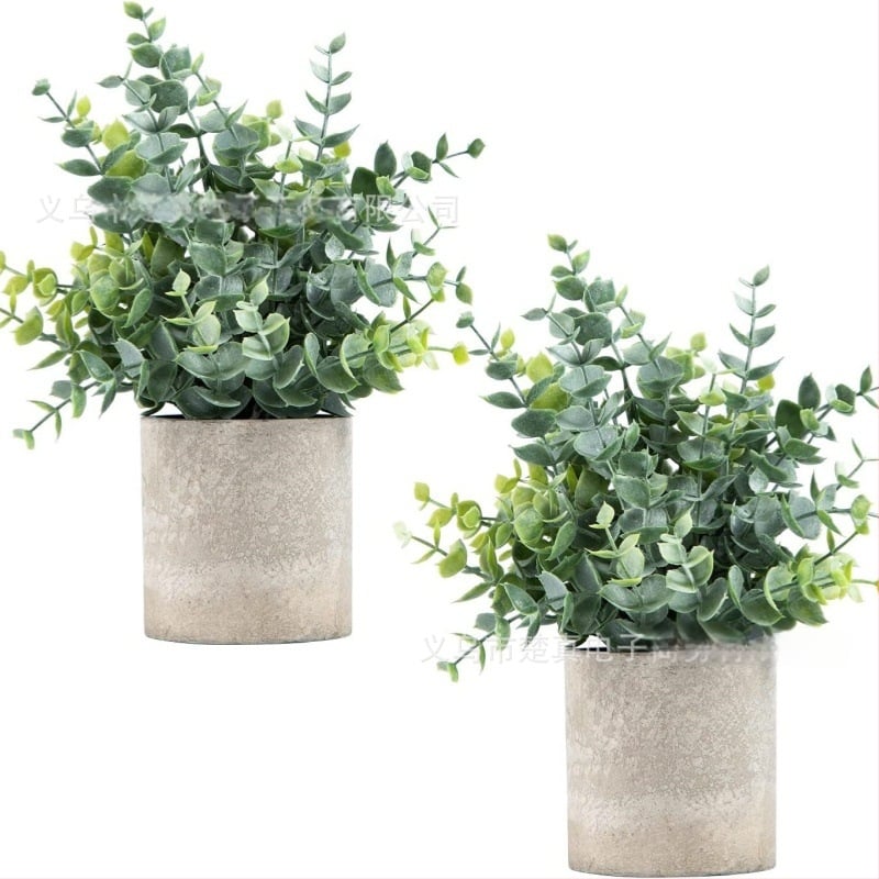 Élethű eukaliptusz bonsai - dekoratív növény nappalira és íróasztalra