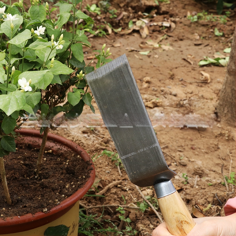 Lopată de grădină cu mâner din lemn, pentru săpat legume sălbatice, usturoi, plivit buruieni și plantarea florilor