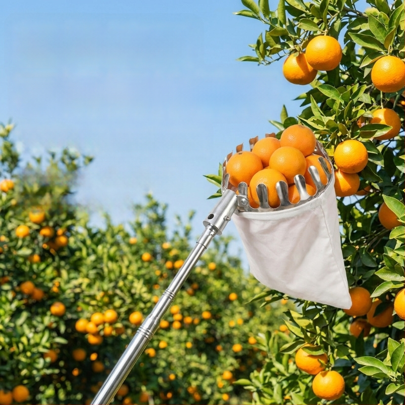 Colector de fructe din oțel inoxidabil, multifuncțional pentru ramuri înalte, destinat agriculturii și utilizării în aer liber