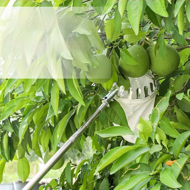 Colector de fructe din oțel inoxidabil, multifuncțional pentru ramuri înalte, destinat agriculturii și utilizării în aer liber