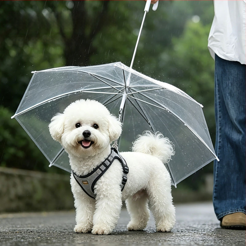 Hartley Lesă Teddy pentru câine mic cu umbrelă, haină de ploaie pentru câine și poncho