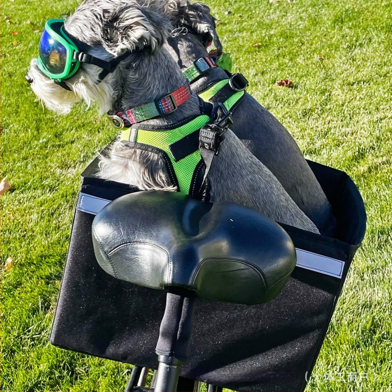 Coș pentru animale pentru bicicletă și scaun auto pentru câini și pisici de talie mică