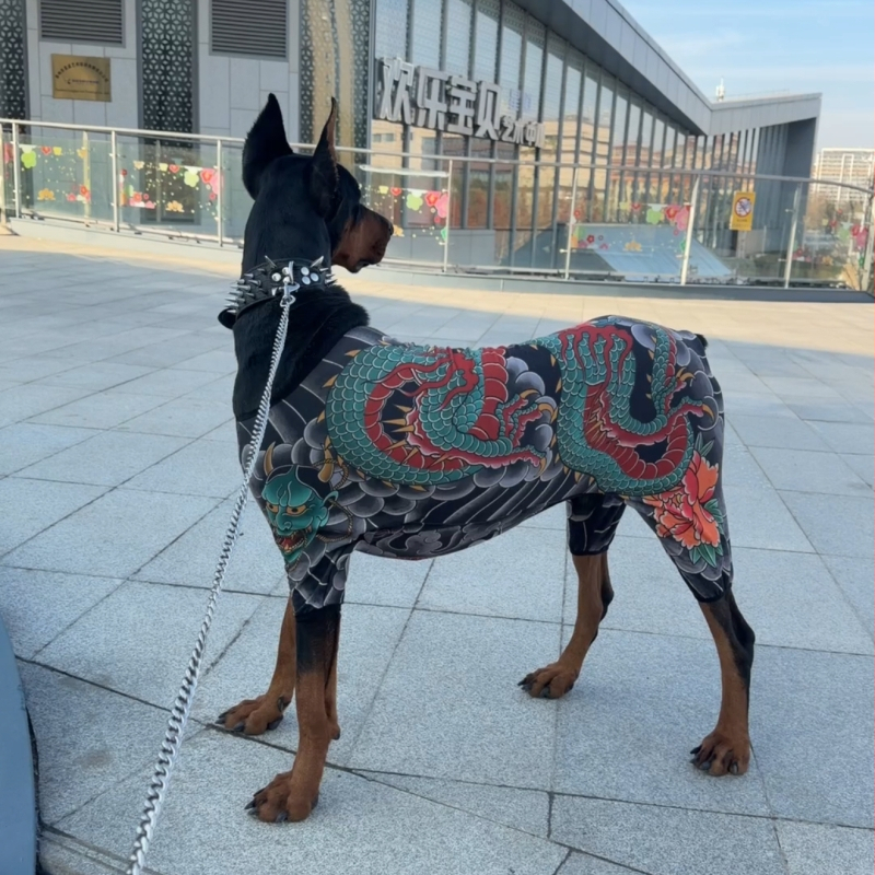Îmbrăcăminte pentru animale de companie cu model tatuaj, respirabilă, anti-pierderii de blană, pentru patru labe, personalizată, amuzantă.
