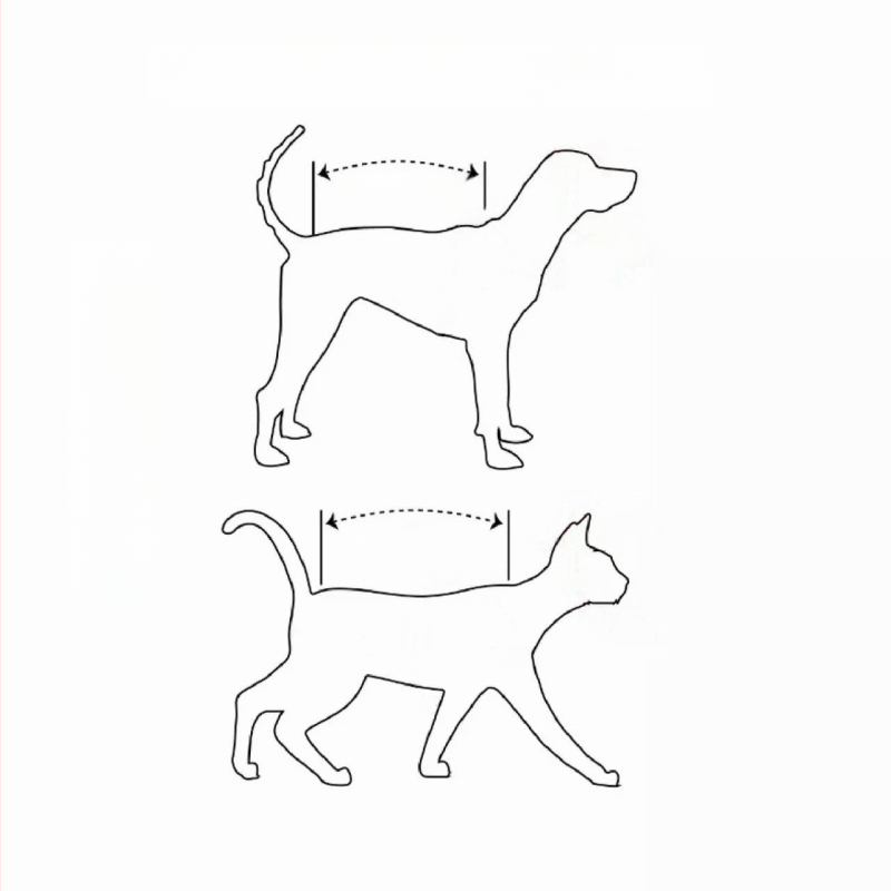 Îmbrăcăminte pentru animale de companie cu model tatuaj, respirabilă, anti-pierderii de blană, pentru patru labe, personalizată, amuzantă.