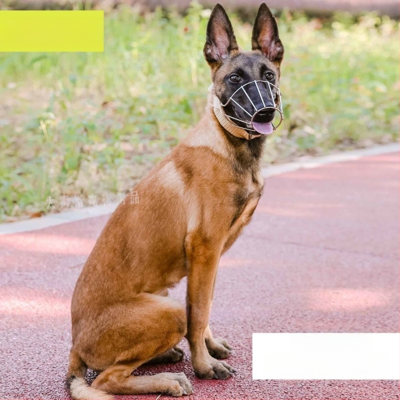 Botniță metalică pentru câini de talie medie spre mare; anti mușcătură, anti lătrăt și anti mestecat; potrivită pentru Malinois și German Shepherd