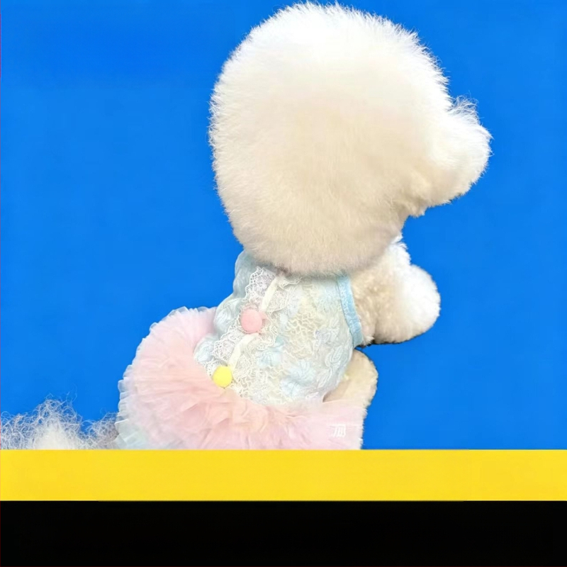 Fustă tutu de vară din dantelă, gradient, pentru animale de companie — stil prințesă pentru câini și pisici