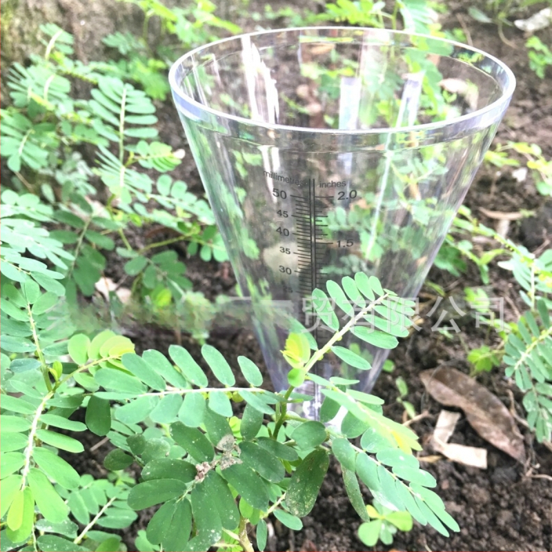 Pluviometru pentru grădină din plastic, cu recipient de măsurare alb-transparent, conic, cu fixare în pământ