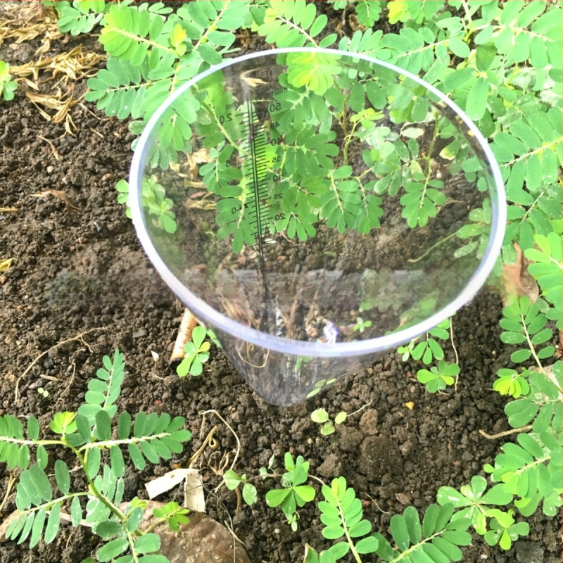 Pluviometru pentru grădină din plastic, cu recipient de măsurare alb-transparent, conic, cu fixare în pământ