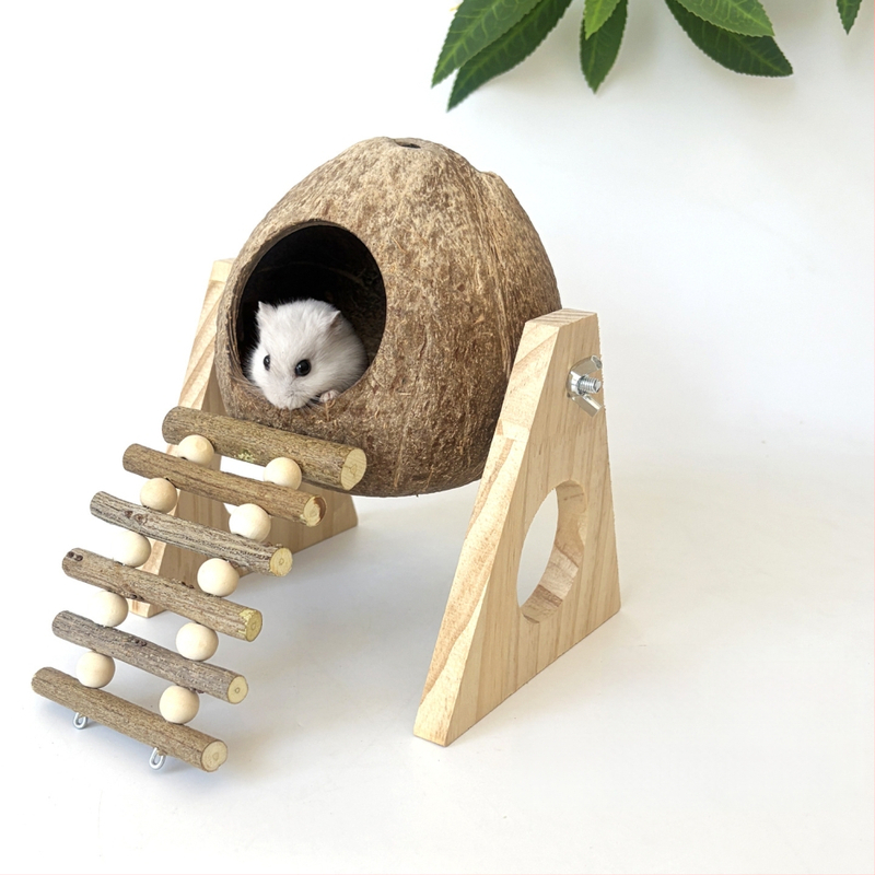 Jucărie din lemn pentru hamster cu scară din crenguțe, adăpost din coajă de nucă de cocos și platformă scenică pentru mestecat și alinarea plictiselii