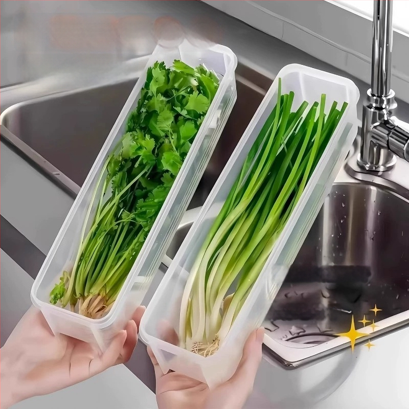 Cutie de depozitare alimentară pentru frigider cu ceapă verde, coriandru, ghimbir, usturoi, tăiței și ouă