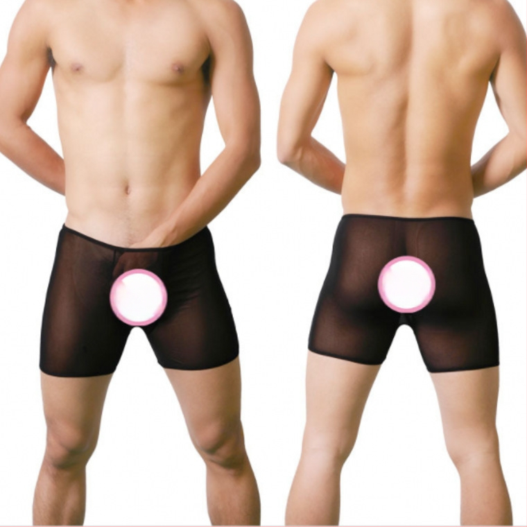Boxeri bărbați din plasă transparentă – lenjerie sexy