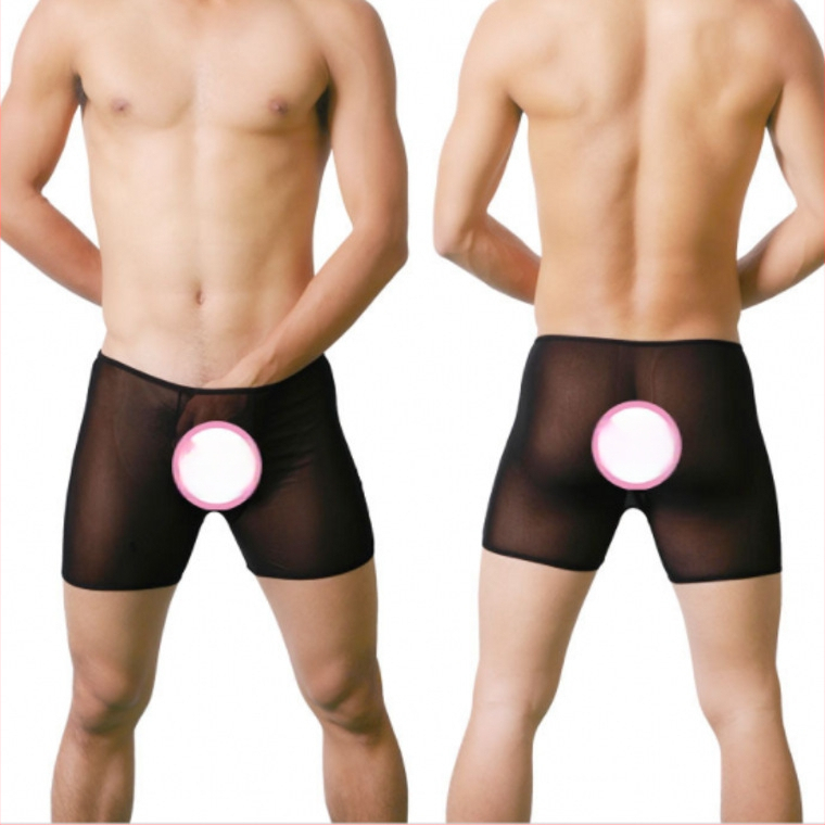 Boxeri bărbați din plasă transparentă – lenjerie sexy