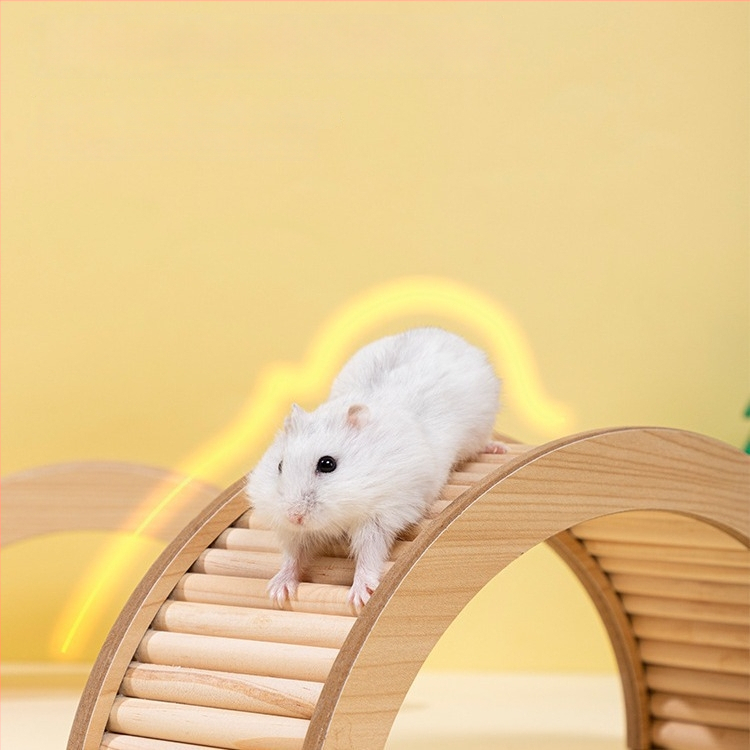 Set decorativ din lemn pentru cușca de hamster, cu gard, scară de cățărare și arc de pod; platformă decorativă și jucărie pentru a combate plictiseala