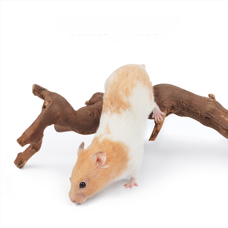Jucărie naturală din lemn pentru hamster, cu suport pentru păsări și ascuțitor de unghii, decor pentru hamster și șinșilă