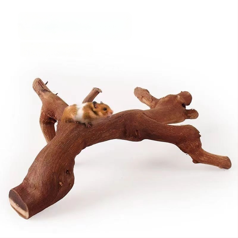 Jucărie naturală din lemn pentru hamster, cu suport pentru păsări și ascuțitor de unghii, decor pentru hamster și șinșilă
