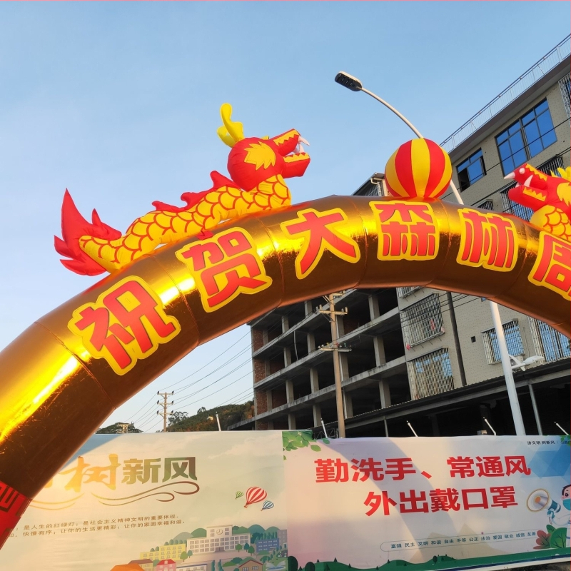 Arc gonflabil de nuntă cu curcubeu auriu, dragon și phoenix, iluminare exterioară
