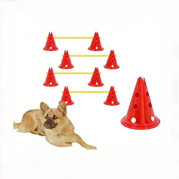 Set de antrenament pentru animale de companie pentru agilitate: stâlpi cu bază circulară de 30 cm, obstacol și cadru de sărituri