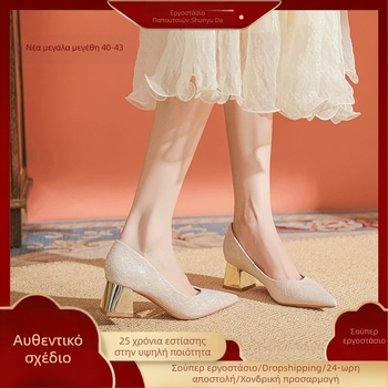 Γαλλικά σαμπανιζέ ψηλοτάκουνα γυναικεία απλά, κομψά, all-match, χοντρό τακούνι, μη κουρασμένα, μυτερά δάχτυλα, νυφικά παπούτσια με φούστα