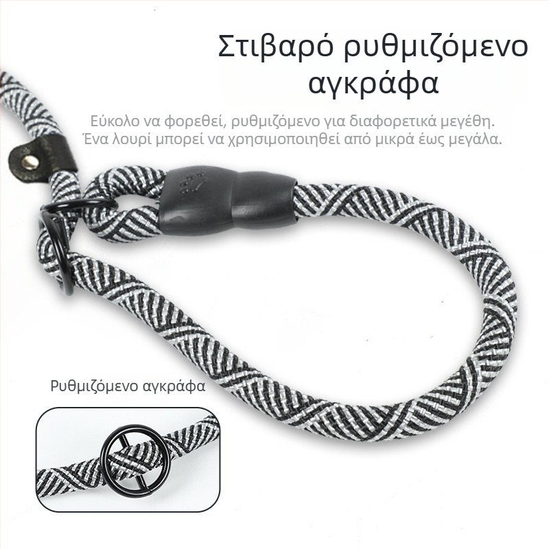 Αλυσίδα σκύλου με ενσωματωμένο λουρί για κατοικίδια, ανθεκτικό σε εκρήξεις, σχοινί P, αλυσίδα P, εξωτερικό λουρί, σχοινί βόλτας σκύλου μεσαίου και μεγάλου μεγέθους σκύλους